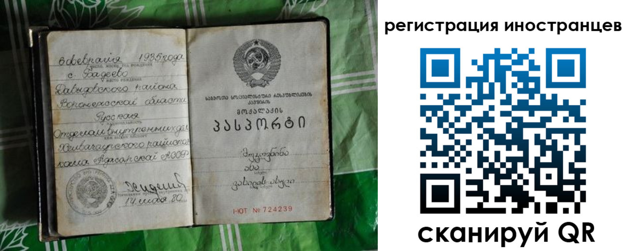 где прописаться в Новгородской области